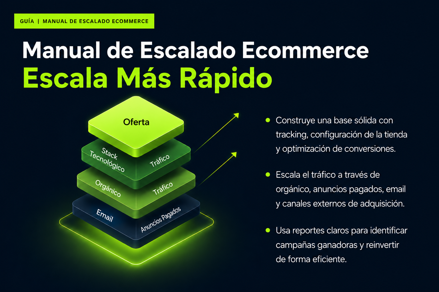 Manual Definitivo para Escalar tu Ecommerce